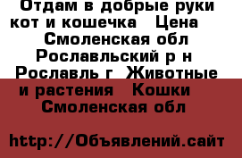 Отдам в добрые руки кот и кошечка › Цена ­ 1 - Смоленская обл., Рославльский р-н, Рославль г. Животные и растения » Кошки   . Смоленская обл.